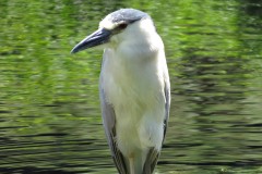IMG_1758