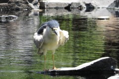 IMG_1841